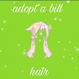 Adopt a bill : hair