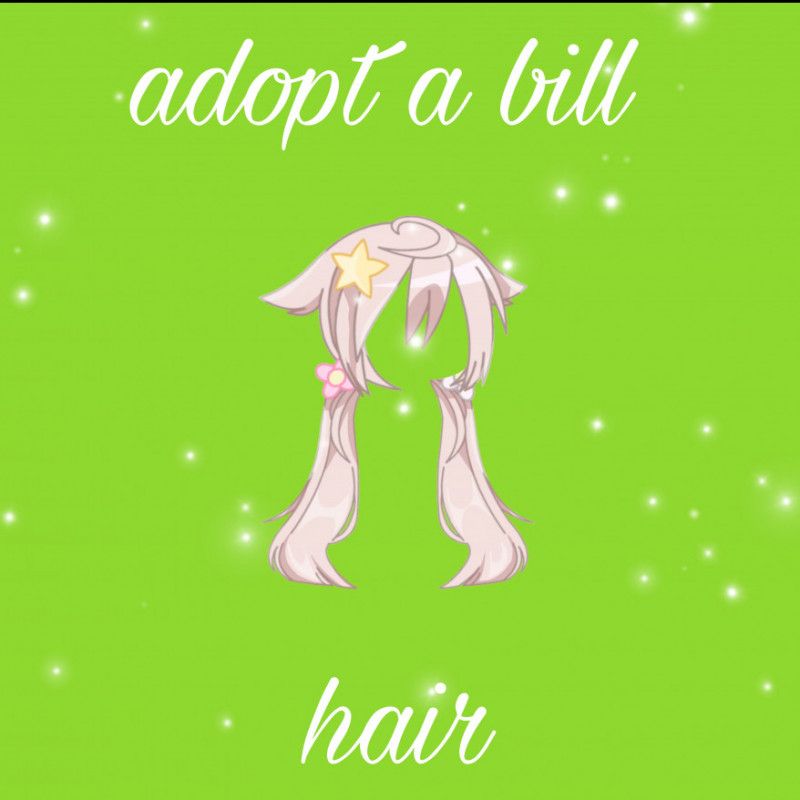 Adopt a bill : hair