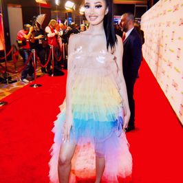 AVN Awards 2020 Dress