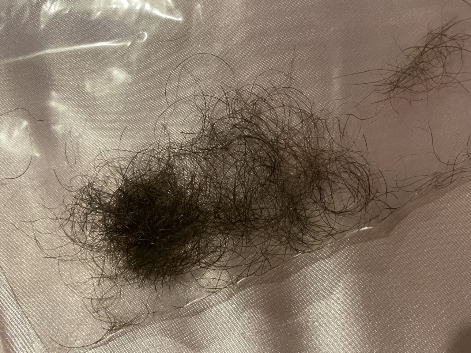 my pubic hair