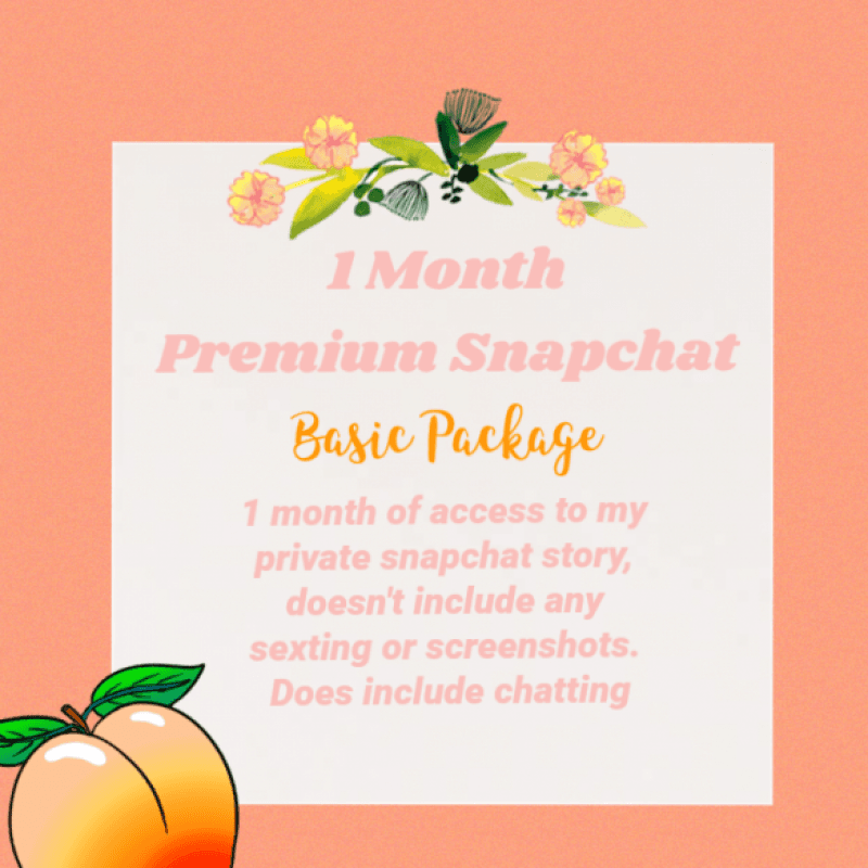 1 Month Basic Snapchat Package