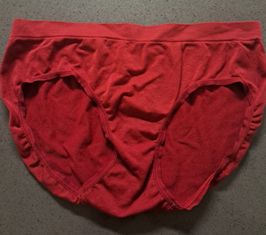 Red full back panty