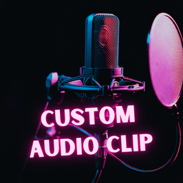 Custom Audio Clip