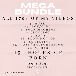 MEGA VID BUNDLE