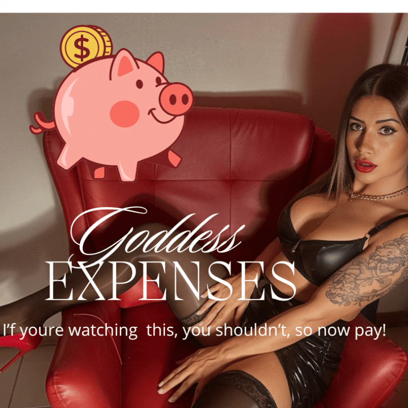 Pay Pig DRAIN TIME!