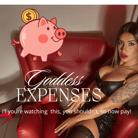 Pay Pig DRAIN TIME!