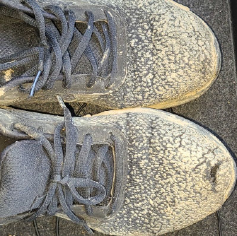 Muddy Sneakers