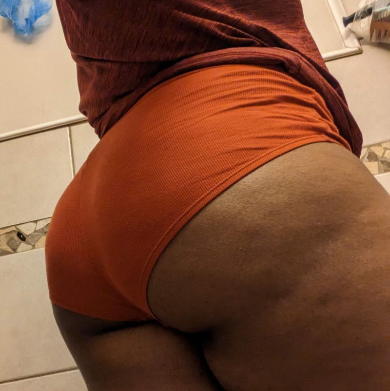 Worn XL Burnt Orange Knit Brief Panty