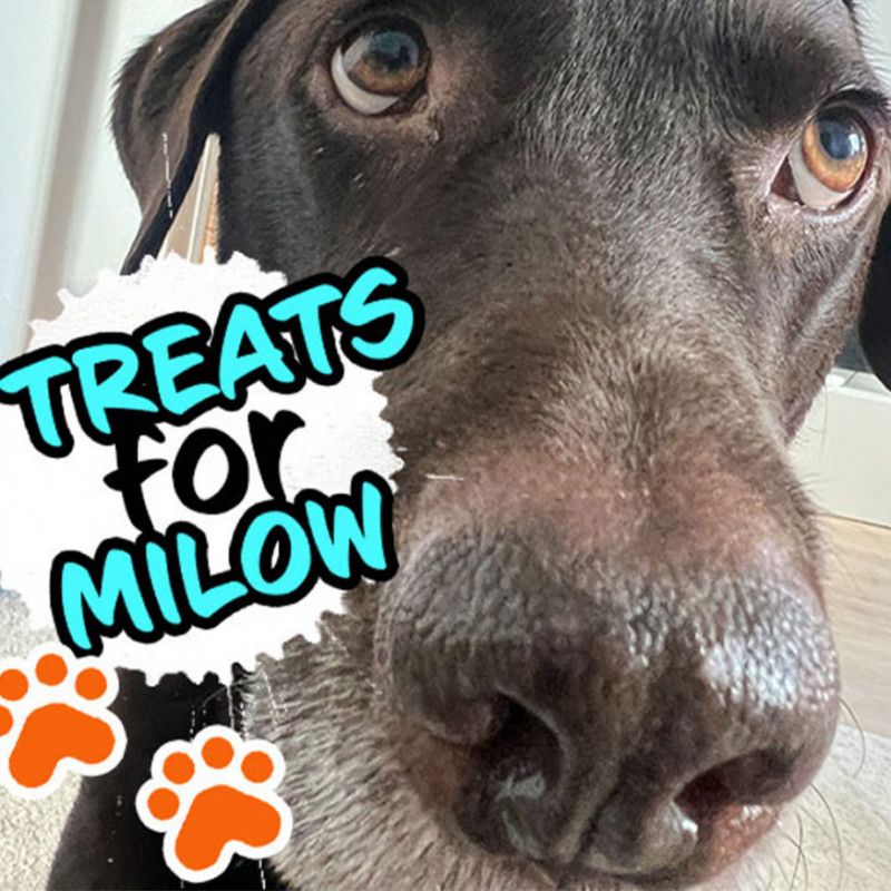 Make Milow happy!