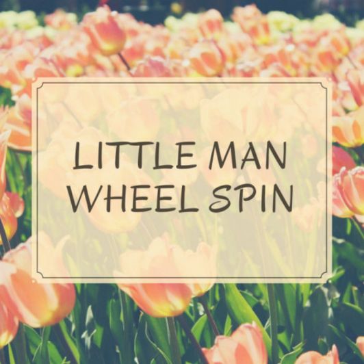 Little Man Wheel Spin