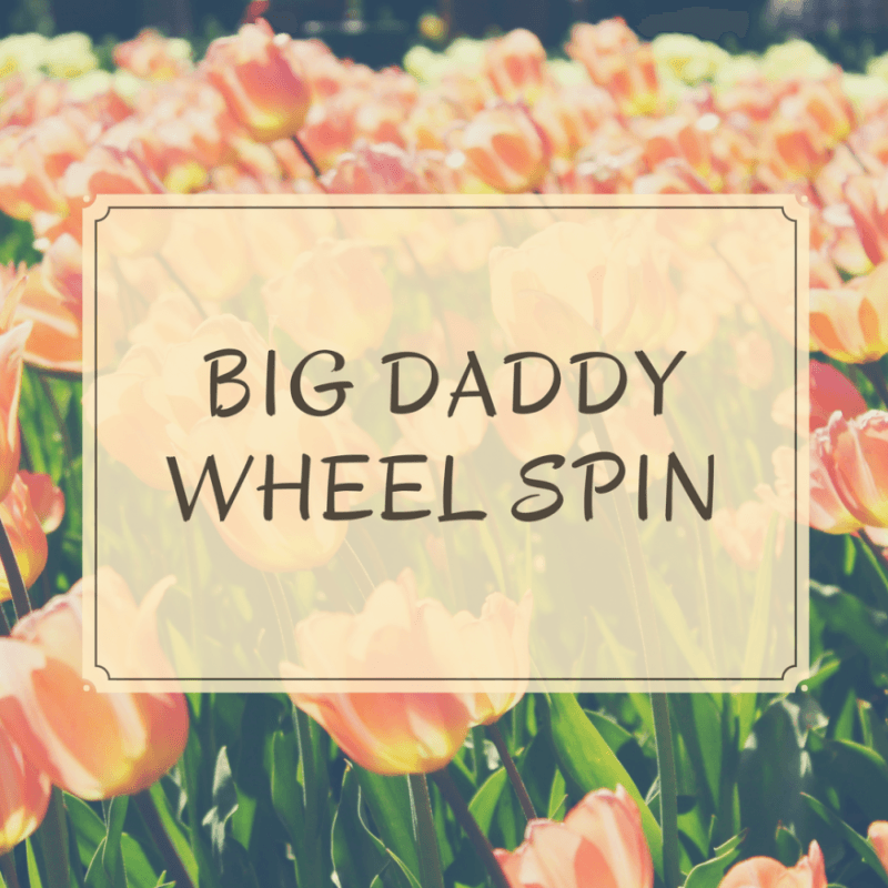 Big Daddy Wheel Spin