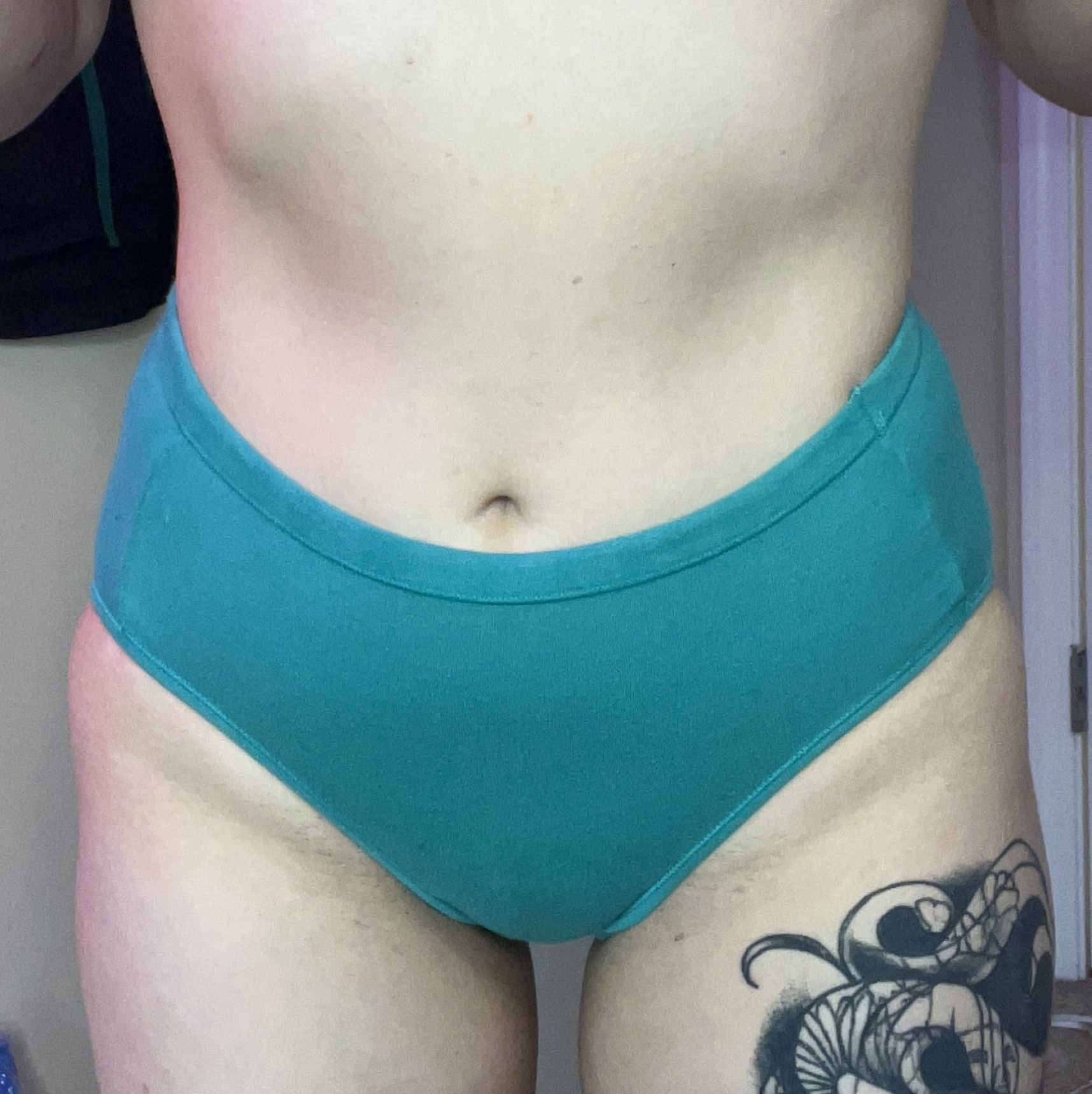 High Waisted Teal Blue Panties