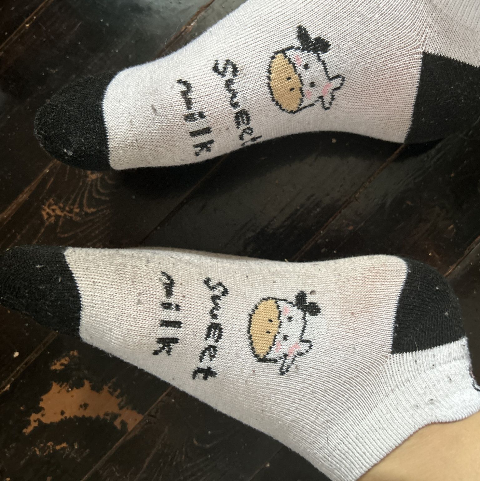 Cow socks