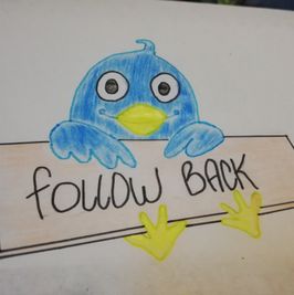 Follow back twitter