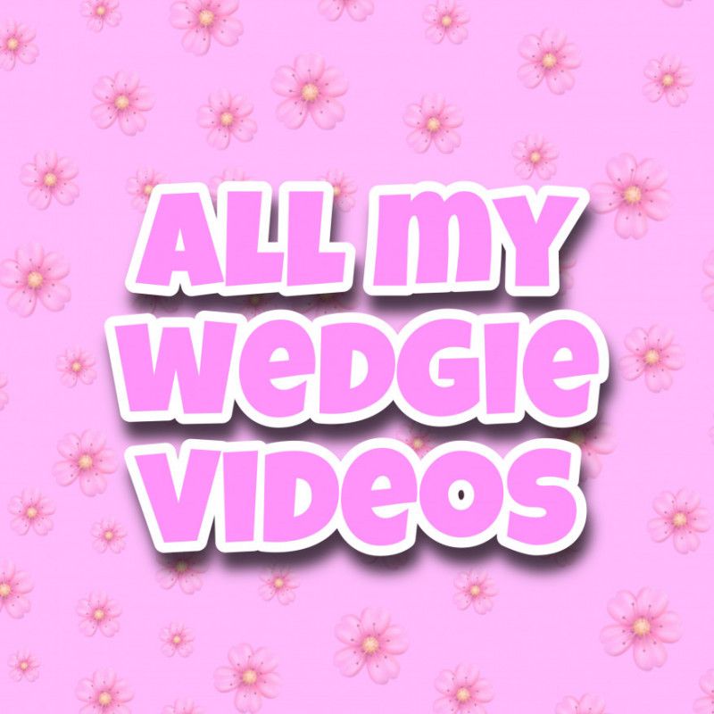 wedgie vid bundle