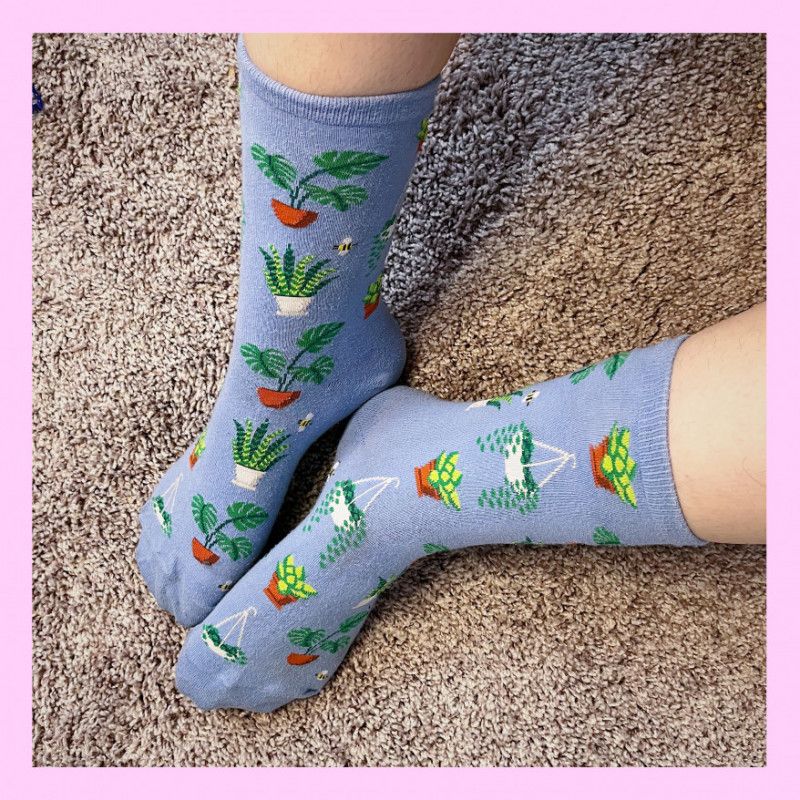 blue succulent socks