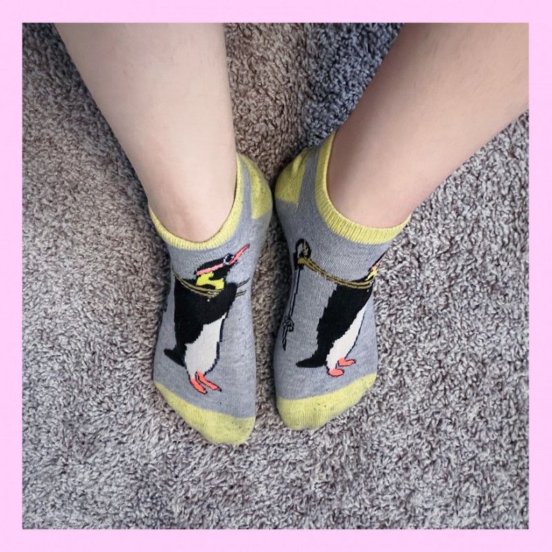 gray penguin socks