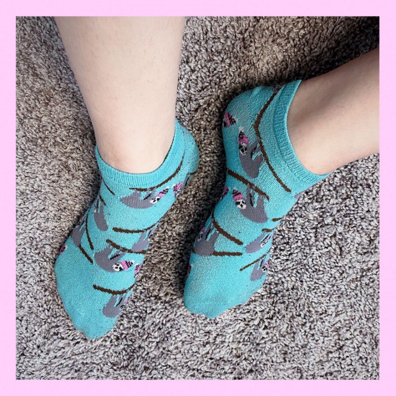 teal sloth socks