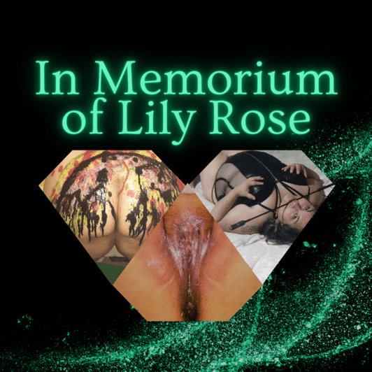 In Memorium of Lily Rose Photos