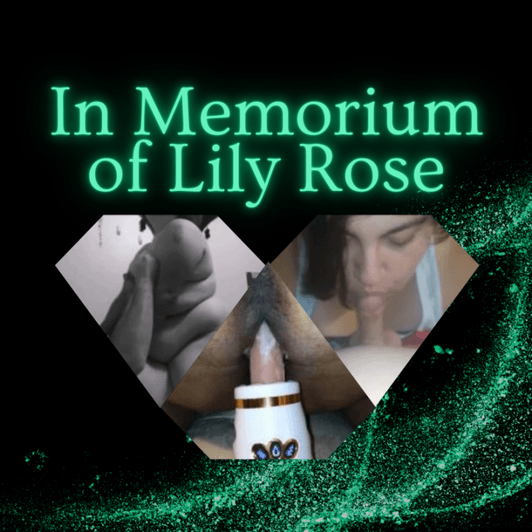 In Memorium of Lily Rose Video Bundle