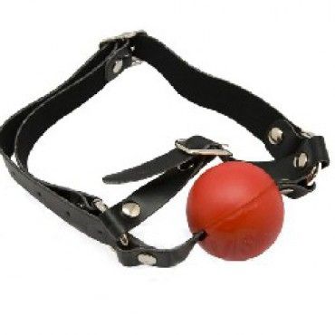 Ball Gag and Blindfold