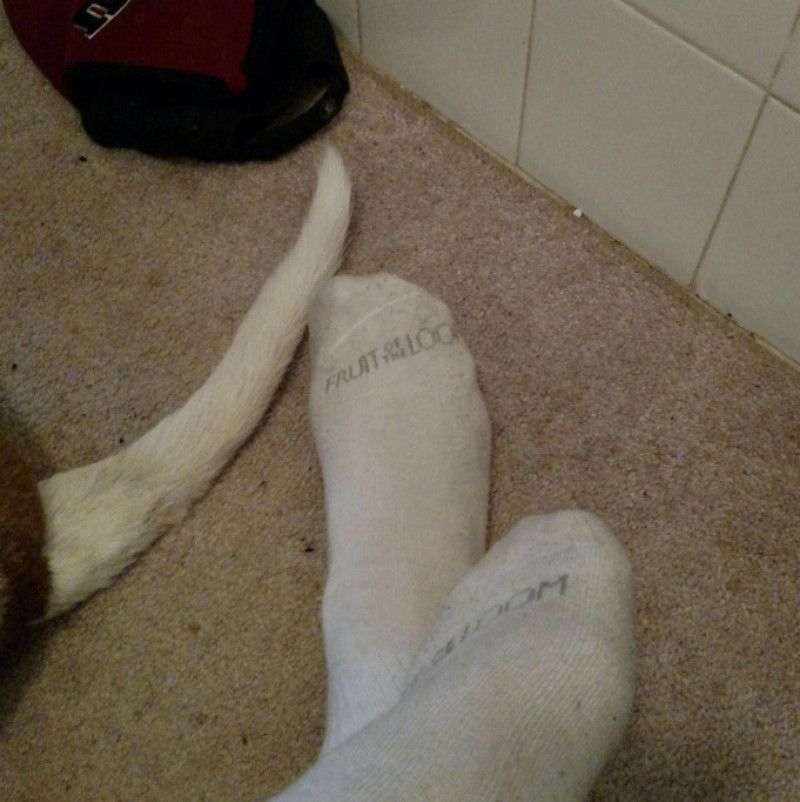 Sweaty socks