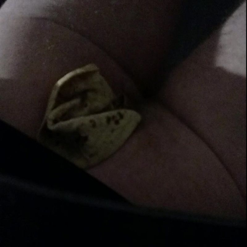 Tortilla from my bfs ass crack with clip