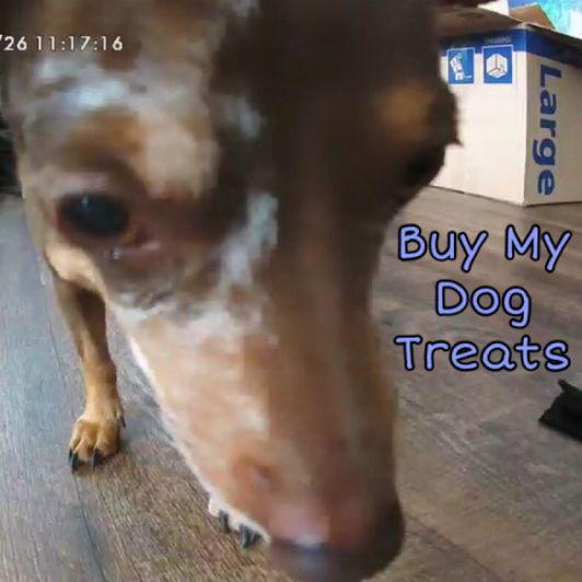 Buy My Dog A Bag of Treats