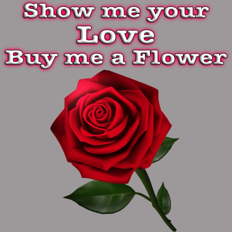 BUY ME A ROSE AS MUCH AS YOU WANT