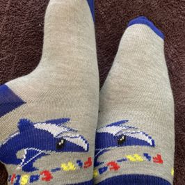 FinTastic Grey Blue Socks With Shark