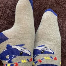 FinTastic Grey And Blue Socks With A Shark