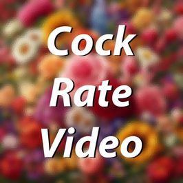 Cock Rate Video