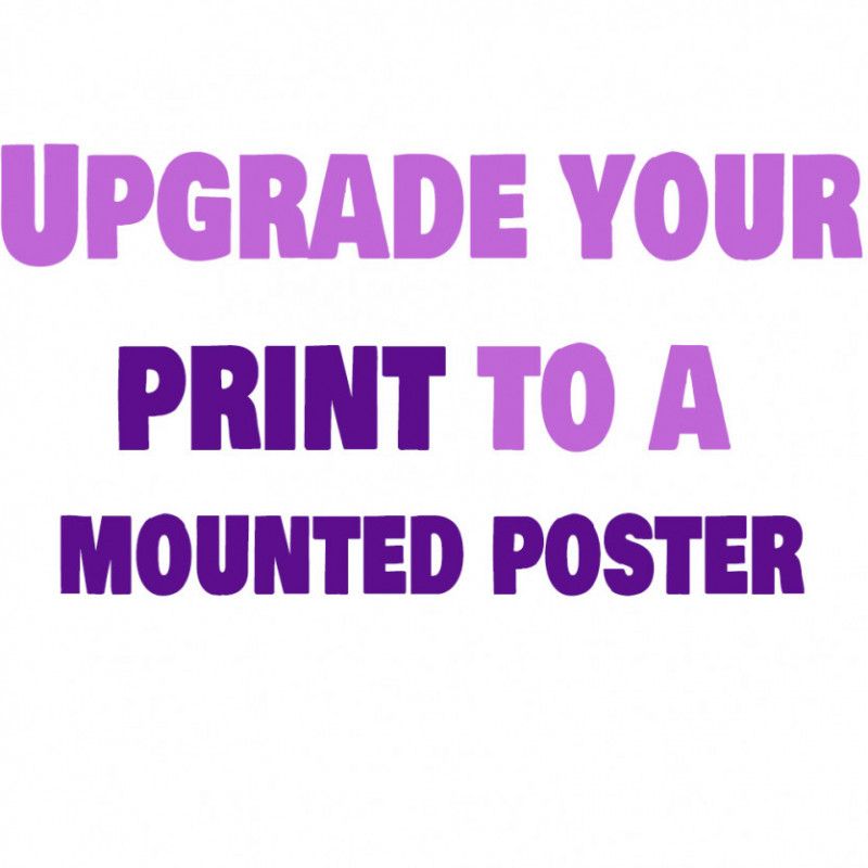 Upgrade you print purchase to a mounted