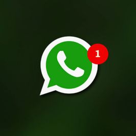 whatsapp for life