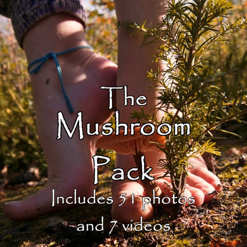 The Mushroom Pack