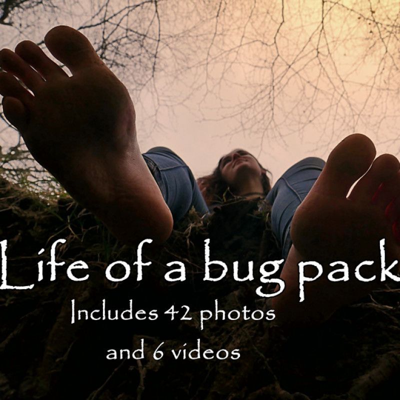 Life of a bug pack