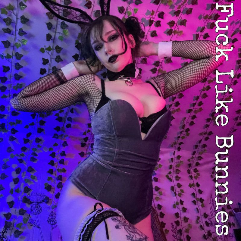 Fuck Like Bunnies Photo Album