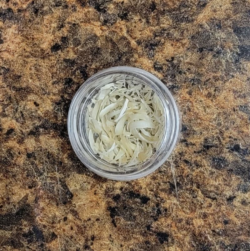 My Toenail Clippings