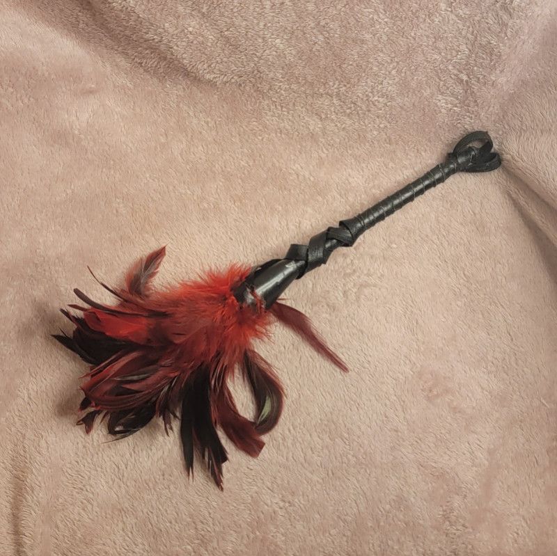 My Used Feather Whip Toy