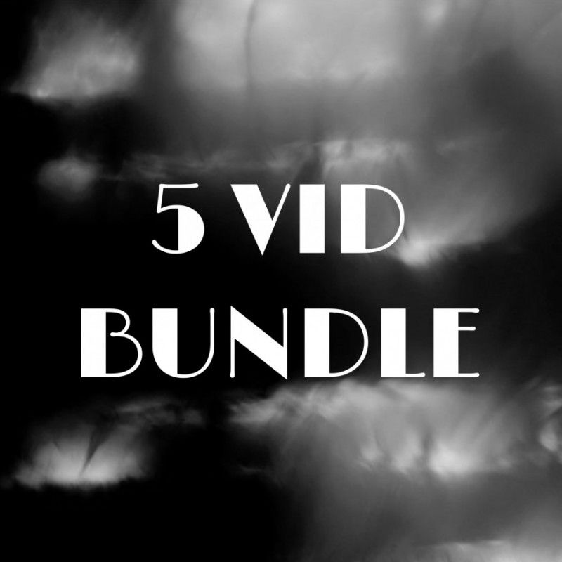 5 VID BUNDLE