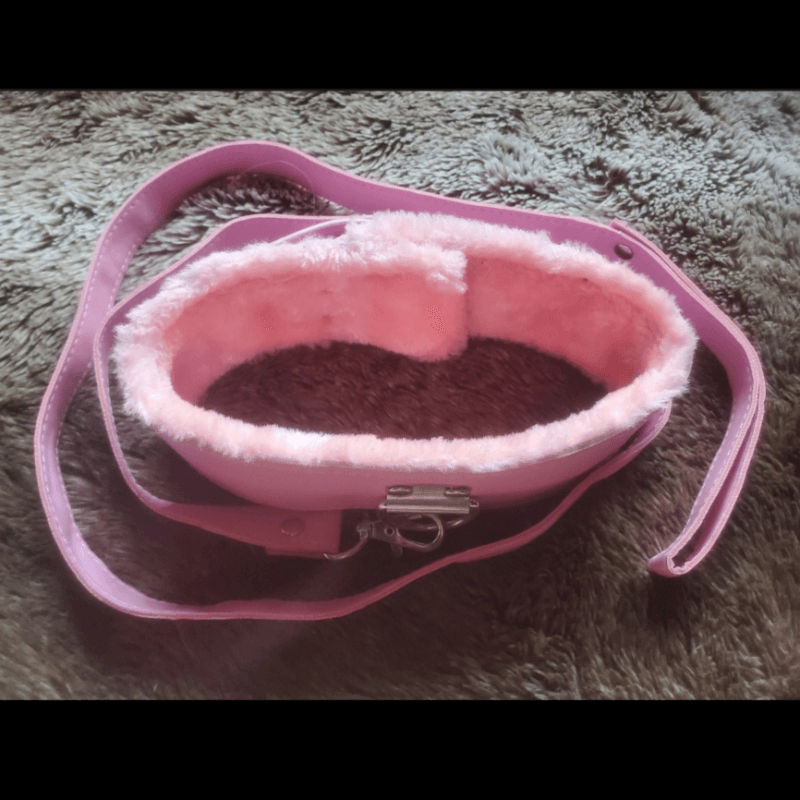 pink fur lined collar with leash