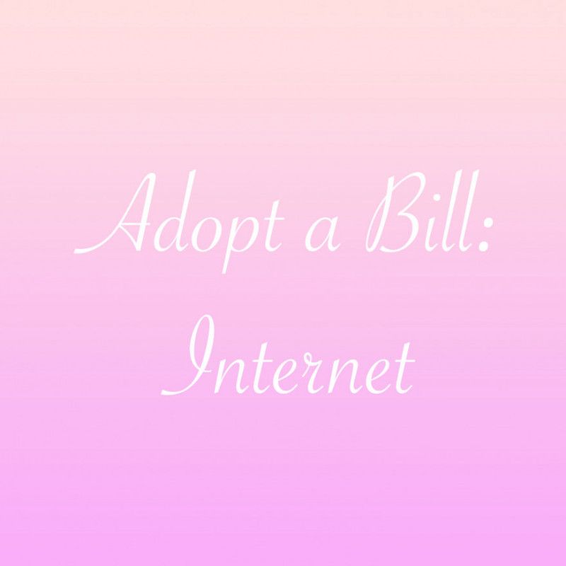 Adopt a Bill: Internet