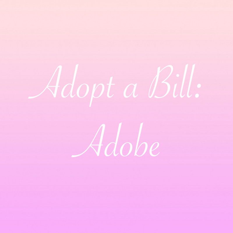 Adopt a Bill: Adobe Subscription