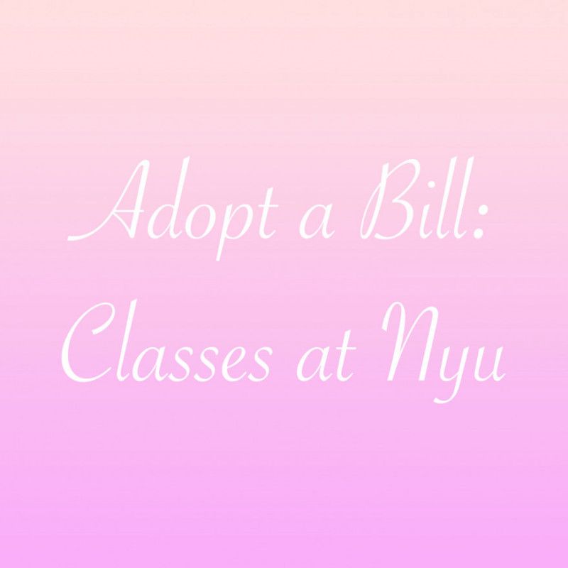 Adopt a Bill: Classes at NYU