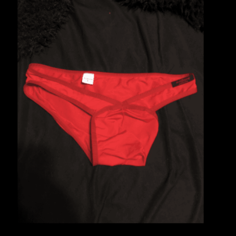 SLAVE TRAINING BIKINI PANTIES