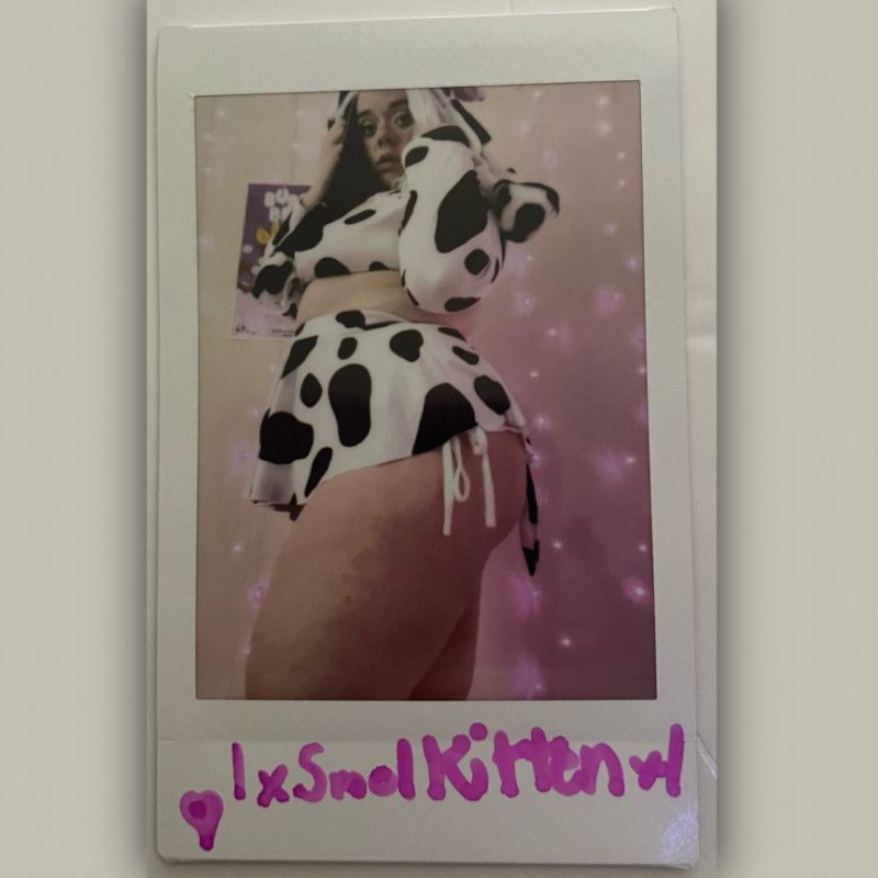 Cow Print Sexy Polaroid