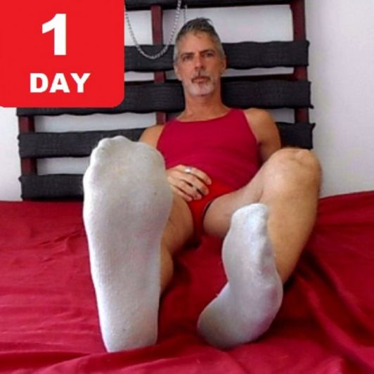 1 Day Ankle Socks