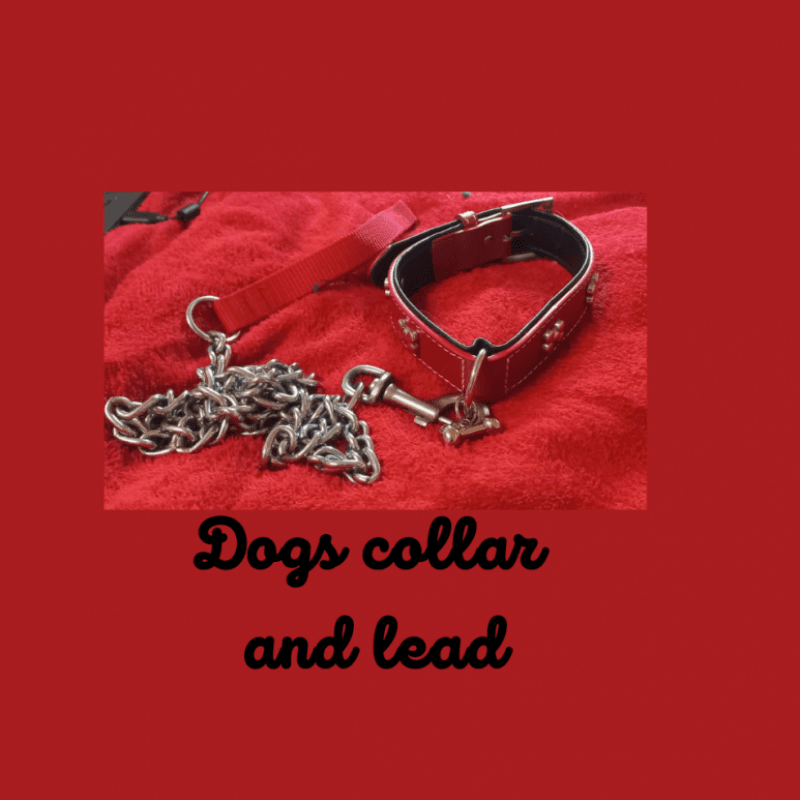 Dogs collar and lead