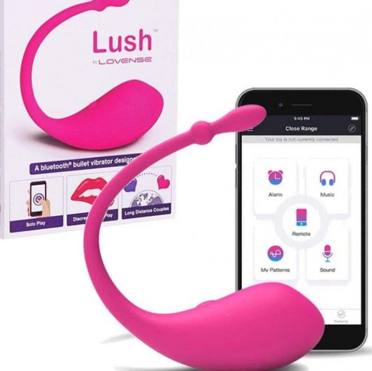 lovense vibrator