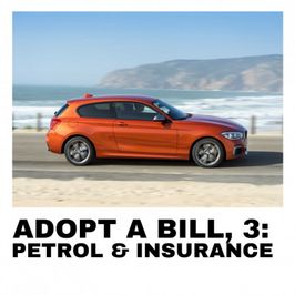 Adopt a Bill: PETROL